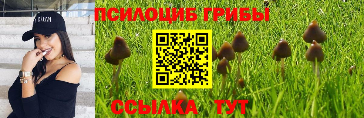 Псилоцибиновые грибы мицелий Октябрьский