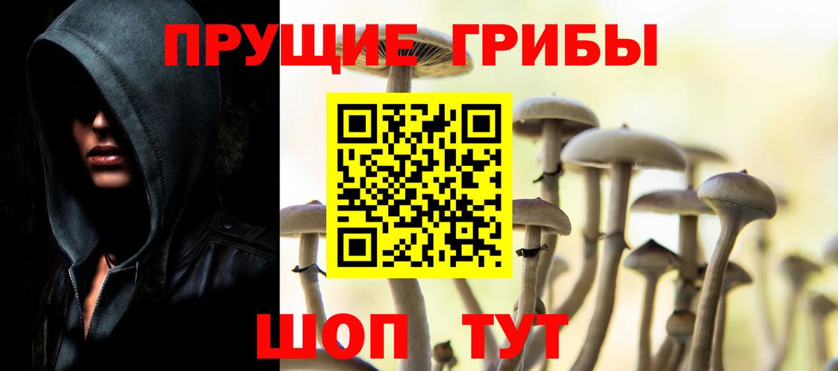 Октябрьский  Галлюциногенные грибы прущие грибы  Вход с VPN 
